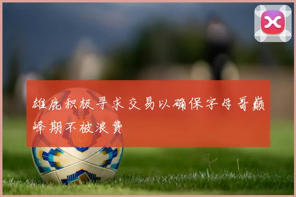 雄鹿积极寻求交易以确保字母哥巅峰期不被浪费